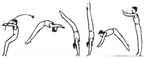 Skill 13