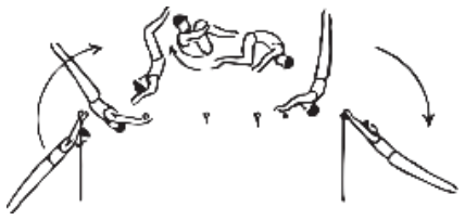 Skill 65