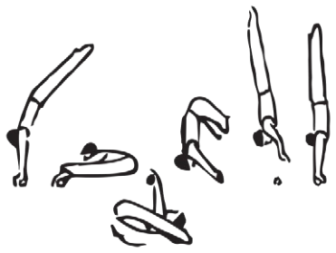 Skill 56