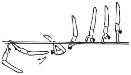 Skill 75