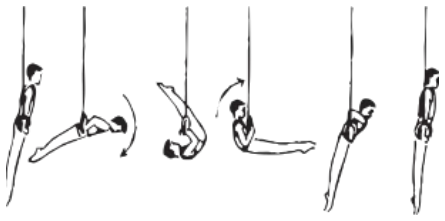 Skill 31