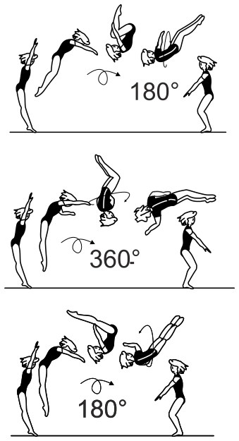 Skill 4.201